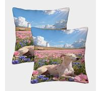 WXLWHR Housse De Coussin Whippet Lot De 2, Microfibre Douce Housses De Coussin De Canapé Taie d'oreiller Décorative pour Chambre Salon Lit Fauteuil 50x50cm