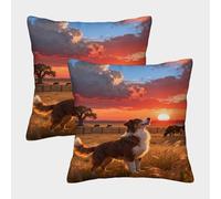 WXLWHR Housses De Coussin Berger Australien Lot De 2, Polyester Doux Housse De Coussin pour Canapé, Taie d'oreiller De Canapé, pour Sofa Canapé Chambre Chaise, 40x40cm