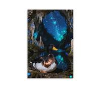 WXLWHR Tableau Sur Toile Canard Impression Sur Toile Tableau Décoration Murale Aurora Grotte Maison Décorations Pour Bain Salon Chambre Restaurant 08x12inch(20x30cm)