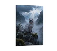 WXLWHR Tableau Sur Toile Chat Ragdoll Tableau Decoration Murale Salon Cloudy Vallée Impression Sur Toile Maison Décorations Pour Cuisine, Salon, Chambre Idée Cadeau 20x30inch(50x75cm)