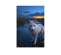 WXLWHR Tableau Sur Toile Renard Blanc Tableau Decoration Murale Salon Marais du Crépuscule Impression Sur Toile Maison Décorations Pour Cuisine, Salon, Chambre Idée Cadeau 16x24inch(40x60cm)