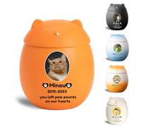 WXMYOZR Petite urne funéraire personnalisée en Forme de Chat pour Cendres, Mini urne funéraire décorative en céramique personnalisée pour Cendres de Chat,Orange,Big