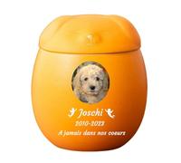 WXMYOZR Urne personnalisée pour Chien, Urne pour Cendres de Chien, Urne pour Cendres de Chien, Urne de crémation pour Animal de Compagnie, Urne en céramique pour Cendres de Chien,Orange,Little
