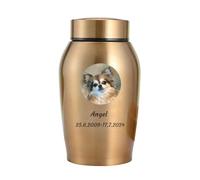 WXMYOZR Urnes à Cendres pour Chiens, Urnes à Cendres personnalisées en Acier Inoxydable Urnes à Cendres personnalisées pour Chiens Urnes commémoratives pour Chiens,d'or,Little