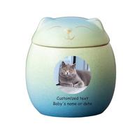 WXMYOZR Urnes d'animaux pour Les Cendres de Chats - Urne de Chat personnalisée pour Les Cendres Urnes de crémation pour Animaux de Compagnie Urnes commémoratives du Chat,Green Blue,Little
