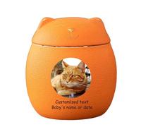 WXMYOZR Urnes d'animaux pour Les Cendres de Chats - Urne de Chat personnalisée pour Les Cendres Urnes de crémation pour Animaux de Compagnie Urnes commémoratives du Chat,Orange,Big