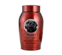 WXMYOZR Urnes pour Cendres de Chien personnalisées, Urnes pour Animaux de Compagnie pour Cendres de Chiens, Urnes de crémation pour Chien en Acier Inoxydable Urnes,Rouge,Big
