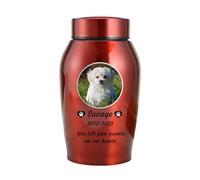 WXMYOZR Urnes pour Cendres de Chien personnalisées, Urnes pour Animaux de Compagnie pour Cendres de Chiens, Urnes de crémation pour Chien en Acier Inoxydable Urnes,Rouge,Little