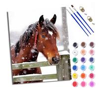 WXRWANG Peinture par numéros adulte Cheval brun dans la neige Kit de bricolage pour adultes Peinture sur toile Avec pinceaux pour décoration murale de la maison 40x50 cm sans cadre