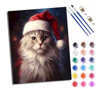 WXRWANG Peinture par Numéros pour Adulte DIY Peinture Numero Adulte Débutants Chat mignon avec un chapeau de Père Noël 40x50cm Numéro Kit Peinture par Décoration Murale et Cadeaux Pour La Maison