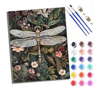 WXRWANG Peinture par Numéros pour Adulte DIY Peinture Numero Adulte Débutants Libellule parmi les plantes Numéro Kit par Décoration Murale et Cadeaux Pour La Maison Avec cadre
