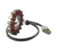 WXSSH Bobine d'allumage de Moto Bobine de Stator de générateur de magnéto de pour Moto pour S1000RR K46