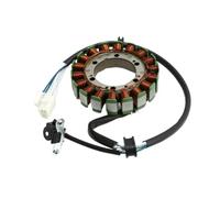 WXSSH Bobine d'allumage de Moto Bobine de Stator de générateur de magnéto de pour Moto pour XTZ750 pour Super
