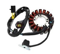 WXSSH Bobine d'allumage de Moto Bobine de Stator de générateur pour Suzuki DR250R DRZ250 DRZ400 DRZ400E DRZ400SM KLX400 KLX400R KLX400SR