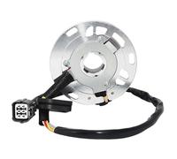 WXSSH Bobine d'allumage de Moto Bobine De Stator Magnétique De pour Moto, Pièces De Rotor pour Kawasaki KX250 KX 250 2005 2006 2007 2008 OEM:21003-0018 21003-0050