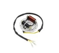 WXSSH Bobine d'allumage de Moto Bobine de Stator magnétique de pour Moto pour Suzuki 32101-40B00 LT80 Quadsport 1987 - 2006