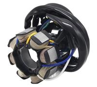 WXSSH Bobine d'allumage de Moto Bobine de Stator magnéto de pour Moto pour CRF250 CRF250X