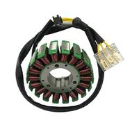 WXSSH Bobine d'allumage de Moto Générateur de Bobine de Stator de pour Moto pour 125 200 RC125 RC200 90139004000