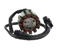 WXSSH Bobine d'allumage de Moto Générateur de magnéto de pour Moto pour Bobine de Stator de Moteur pour