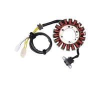 WXSSH Bobine d'allumage de Moto Magnéto pour Bobine de Stator de générateur de Moteur, pour Suzuki LTR450 LTR 450 pour Quad pour Racer 2006 - 2011, Charge de générateur