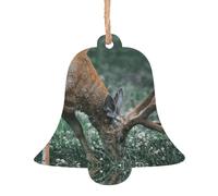 WXWJSHMGC Buck On The Grass Lot de 2 boules de Noël en bois à suspendre pour sapin de Noël