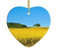 WXWJSHMGC Décoration de Noël en céramique à suspendre en forme de cœur avec motif de champ de fleurs de viol
