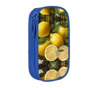 WXWJSHMGC Trousse à crayons double couche avec fermeture éclair - Tissu durable - Imprimé citron jaune - Idéal pour les étudiants, bleu, Taille unique, Trousse de beauté