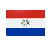 WXZYFP Drapeau du Paraguay Peinture décorative en métal 30,5 x 20,3 cm Convient pour les bars, cafés, restaurants de style industriel et autres lieux