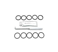 WY Truma Lot de 10 joints toriques ultra-rapides pour pompe à eau avec outil de retrait de joint torique et graisse en silicone