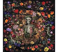 Wyatt Flores - Wyatt Flores - Half Life