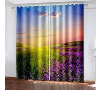 Wycian Rideau Cuisine Rideaux Bleu Violet Vert 2 Pièces Polyester Paysage De Prairies De Lavande Au Lever du Soleil 132L X 214H Cm Classique Mode Mise À Niveau 3.0