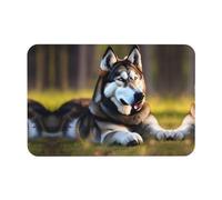 WYCZHY Tapis de bain en diatomée imprimé chien Husky, antidérapant, 60 x 40 cm, facile à ranger, tapis de bain pour la cuisine
