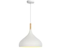 WYJYANC Suspension Nordique À Une Tête pour Restaurant, Lustre Créatif pour Bar, Lampe Suspendue pour Centre Commercial, Plafonnier Créatif pour Couloir, Salle À Manger, Style Macaron, pour Cuisine