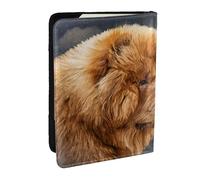 Wykjtwo Chow Chien Vintage, Porte-Passeport Portefeuille de Voyage en Cuir PU Étui pour Passeport Couvre-Passeport 6,5 po