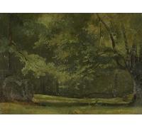 WYKUJMYTO Portrait Tableaux Imprimer Affiche Affiches Impression Fontainebleau En Forêt - de Jean Baptiste Camille Corot Vintage Impressions sur Toile Décorations Pour la Maison 60x90cm