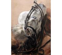 WYKUJMYTO Tableaux Célèbres Art Impression Toile Murale Tableau Étude de cheval par Adolph Menzel Affiche de Art Pour un Usage Bureautique 60x90cm