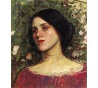WYKUJMYTO Vintage Impressions sur Toile Art Murale Classique Art Imprimé Image La Rose Bower de John William Waterhouse Toile Paysage Peinture Pour la Décoration du Salon 60x90cm