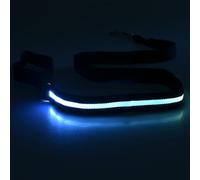 WYLZLKX Lot de 4 laisses de chien LED rechargeables en nylon imperméable avec poignée rembourrée pour la promenade nocturne pour animal domestique lumineux