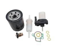 WYNAnGAI Kit de Maintenance 100 Heures Compatible avec 4 Traits 40 50 60 EFI Moteurs 4 cylindres compatibles avec
