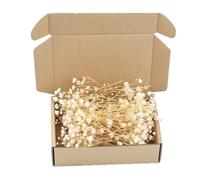 Wynrzyj Lot de 50 paquets de gypsophiles séchés, tiges de fleurs éternelles pour vases, arrangements décoratifs, décoration de table, arrangement floral, accessoires