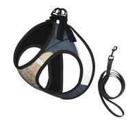 Wyoming Harnais pour petit chien avec laisse et motif drapeau de l'État du Wyoming pour promener facilement le dressage et la marche