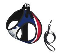 Wyoming Harnais pour petit chien avec laisse pour petit chien Motif drapeau de l'État du Wyoming