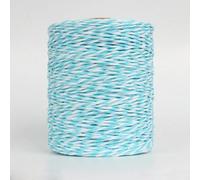 WYQXTY Ruban en Papier Raphia, Fil de Crochet en Paille de Raphia Multicolore, 280M, for Bricolage, Chapeau à Tricoter, Sac à Main, Coussin(Sky Blue White)