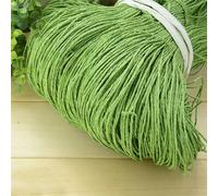 WYQXTY Ruban en Papier Raphia, Fil de Paille de Raphia Multicolore, 600 mètres, 500g, for Tricoter des Chapeaux, des Sacs, des projets de Bricolage(23)