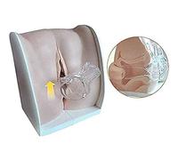 WYRMB Modèle de col de l'utérus Vaginal en Silicone Souple - Outil de Formation réaliste du système reproducteur féminin pour l'enseignement de la gynécologie et Les Professionnels de la santé.