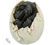 Wyrmlings Première Lumière Multicolore