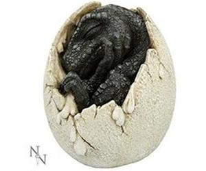 Wyrmlings Première Lumière Multicolore