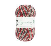 WYS Bluefaced Leicester Wool/Sock Wool selfpattern Signature 4ply Sock Yarn 100g | 861 Bullfinch with Blue Faced Leicester Wool by West Yorkshire Spinners Signature 4ply