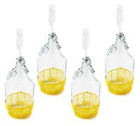 WYSKONT Bouteille bonbonne à col étroit avec couvercle pivotant, panier de protection, sas et bouchon pour la fabrication du vin, la fermentation, le stockage des boissons, verre transparent, 4 x 5 L