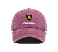WYSTEN Casquette Homme Classic Baseball Lam bo.RGhi.ni, Casquette de Baseball Unisexe, Pêche Randonnée Réglable, Casquettes de baseball des équipes de course(Pink)
